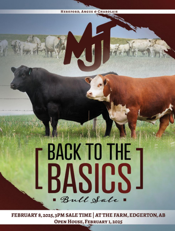 ad cover
