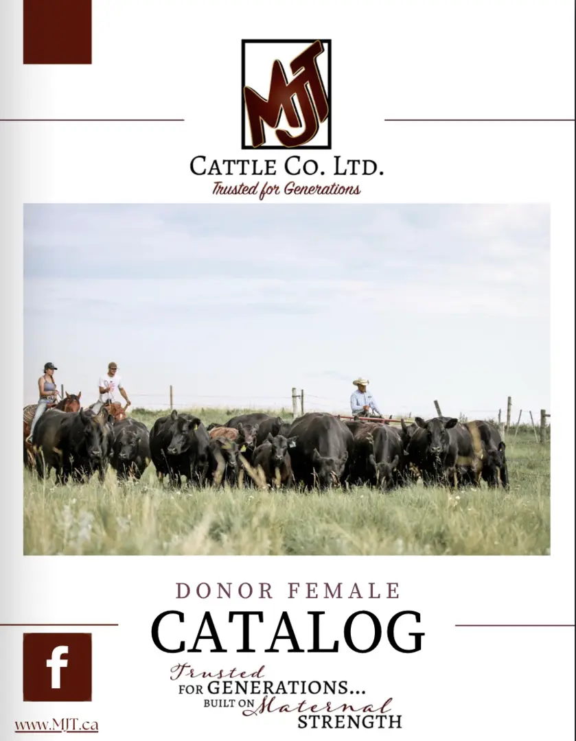 Donor Catalog